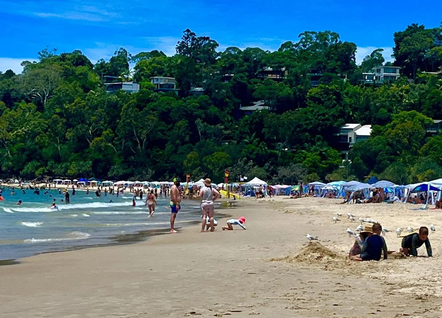 Noosa Bliss - Self Contained, Pool, Tennis, Gym Noosa Heads